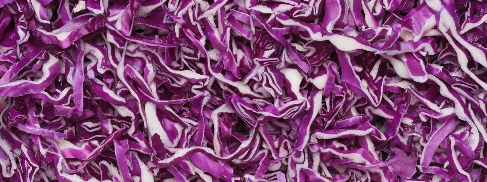 https://taylorfarmsfoodservice.com/wp-content/uploads/2017/05/Shredded-Red-Cabbage.jpg