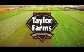 Tender Leaf Products from Taylor Farms